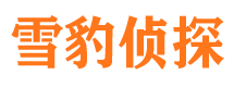 谢家集市私家侦探